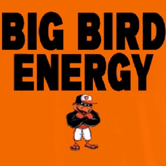 Baltimore Big Bird Energy Sport Team Orange Short Sleeve T-Shirt - NEW Fast Ship - Picture 2 of 5